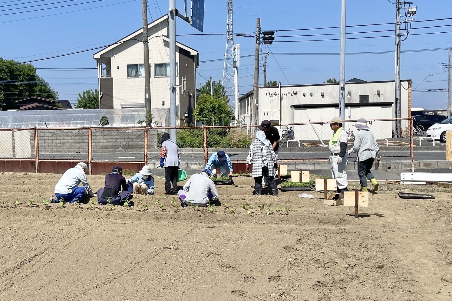 植栽活動