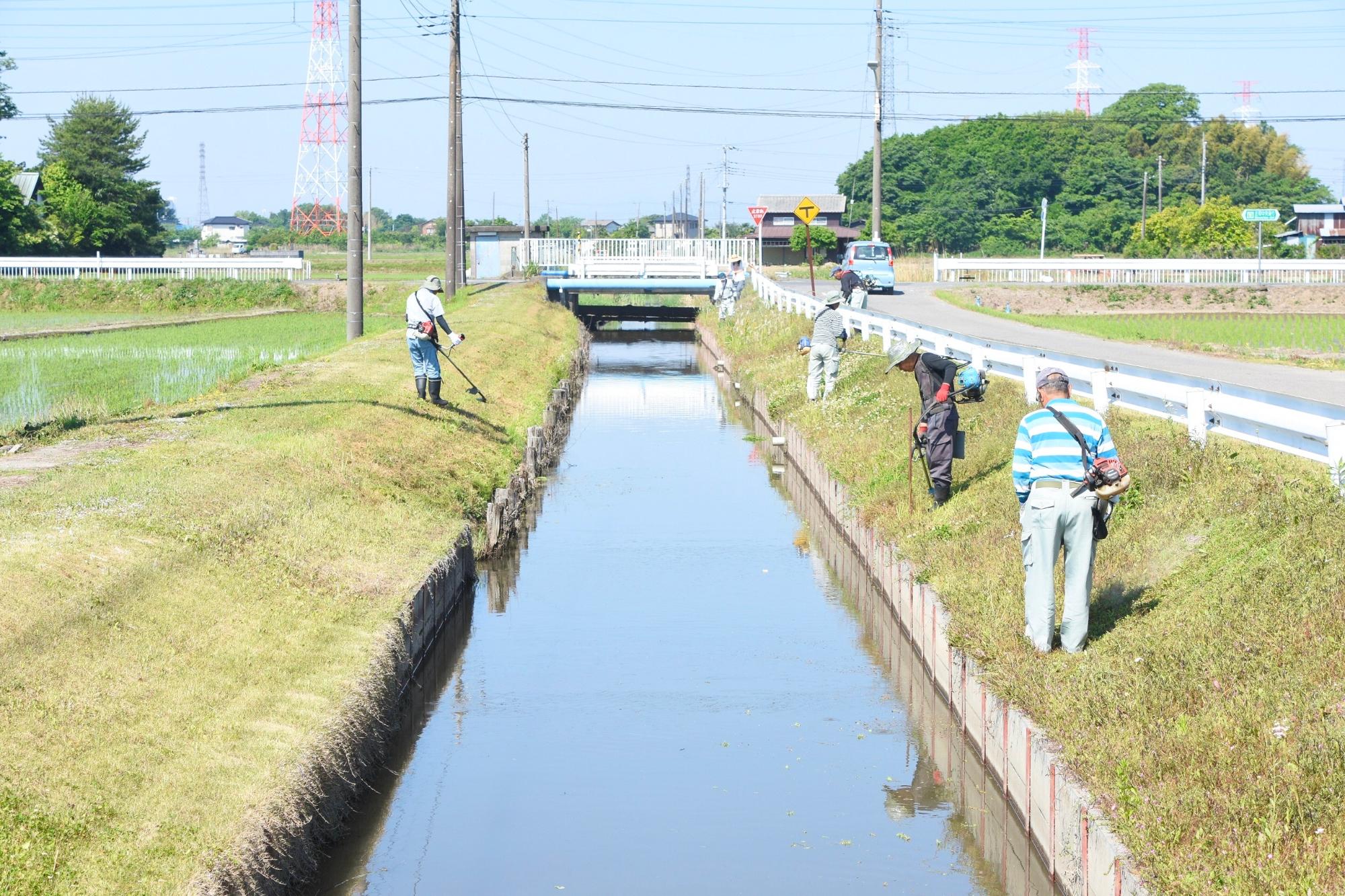 水路法面を草刈りする様子