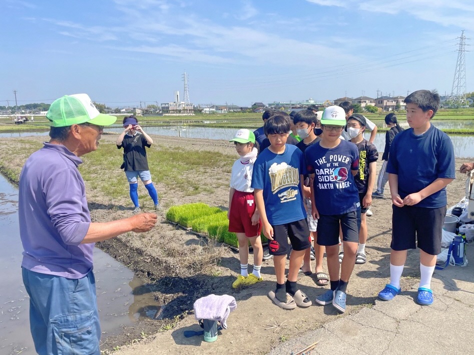 田植えのやり方を説明