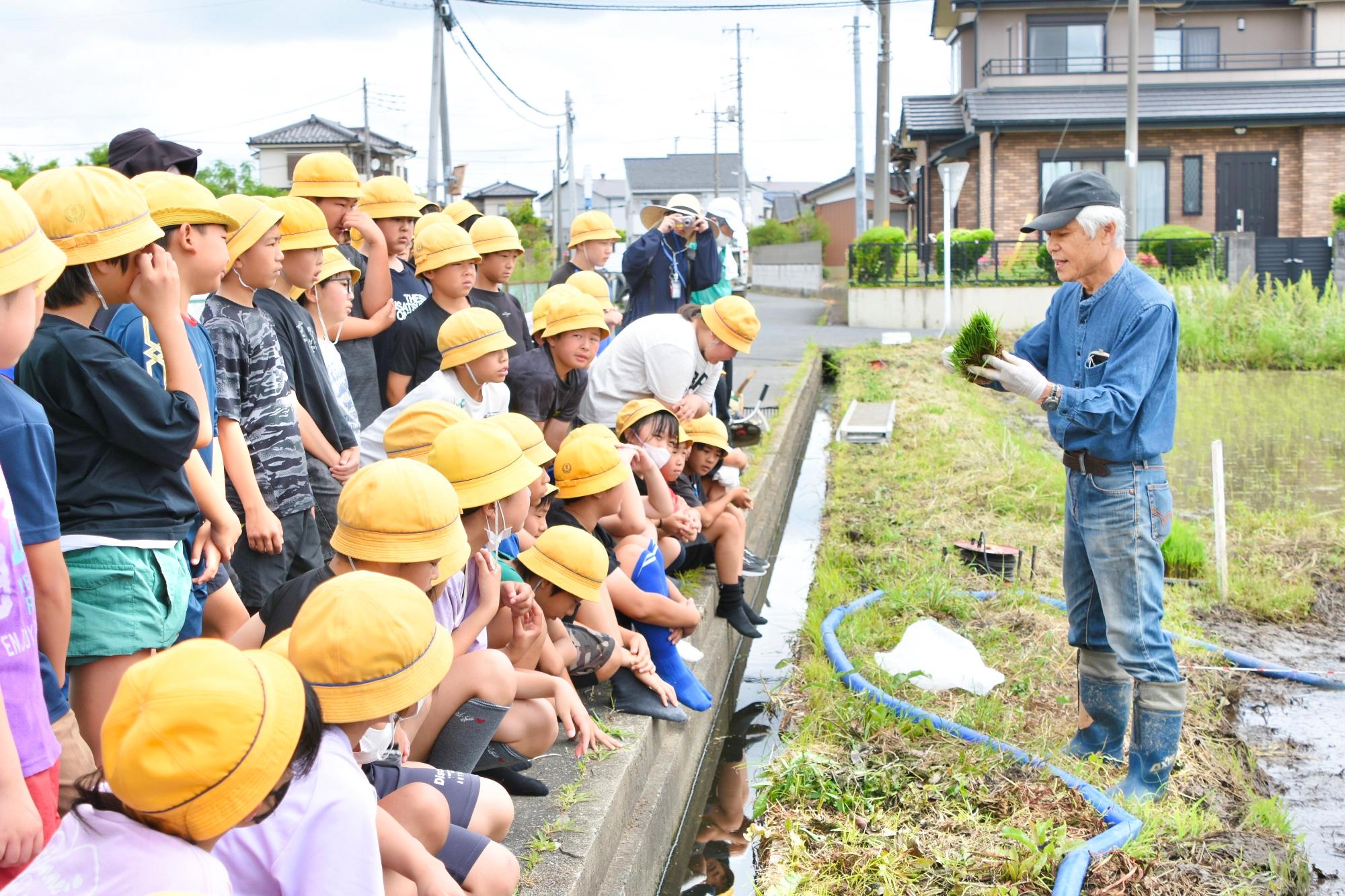 田植え方法の説明