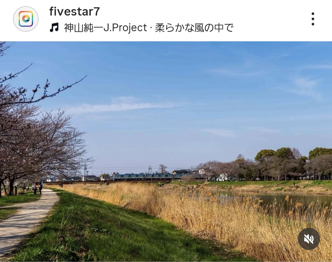 ススキが生えている川沿いの向こうに、東武アーバンパークラインが走っている写真