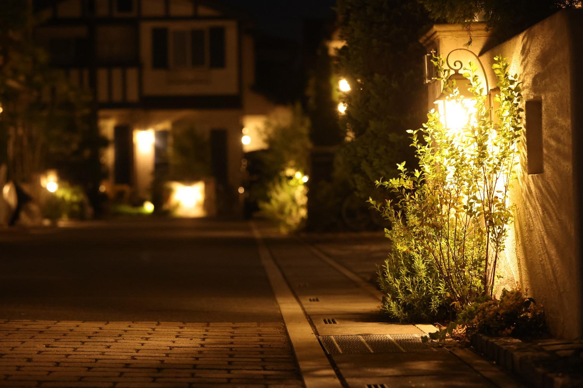 夜間、家の明かり灯し軒先を照らす様子