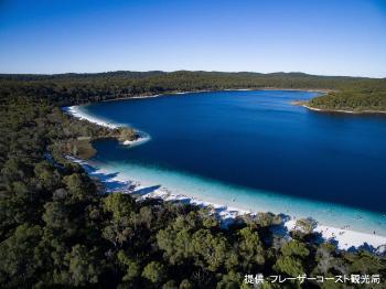 マッケンジー湖の一部を俯瞰で撮影した写真。木々が生い茂る中に透明度の高い湖がある。