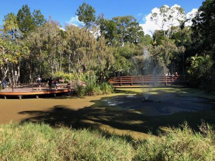 ハービーベイ植物園の中にある池の写真。池の中には島があり、そこへ渡る橋が架けられている。また、池の中には噴水もある。