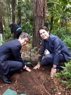 ハービーベイ植物園にて、記念樹の苗木を植える種村副市長とシーモア市長の写真。2人とも苗木を挟むようにしゃがみ、苗木の根元の土を押さえている。