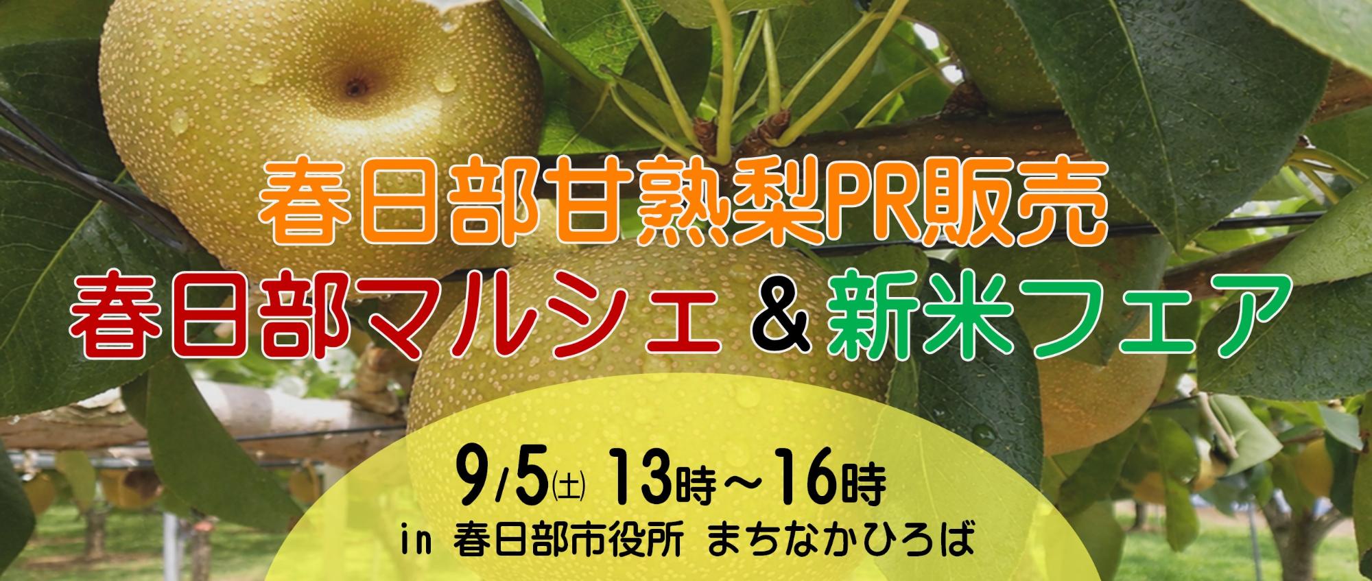 春日部甘熟梨PR販売