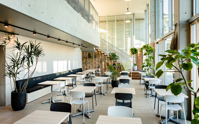 7.cafe BLOOMY'S 春日部