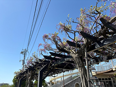 第1児童館 エンゼルドーム前