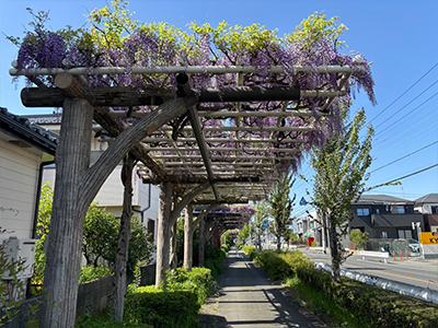県道 春日部松伏線沿い