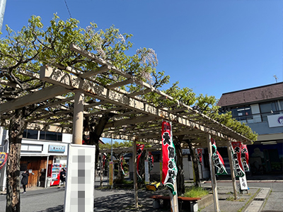 藤の牛島駅前
