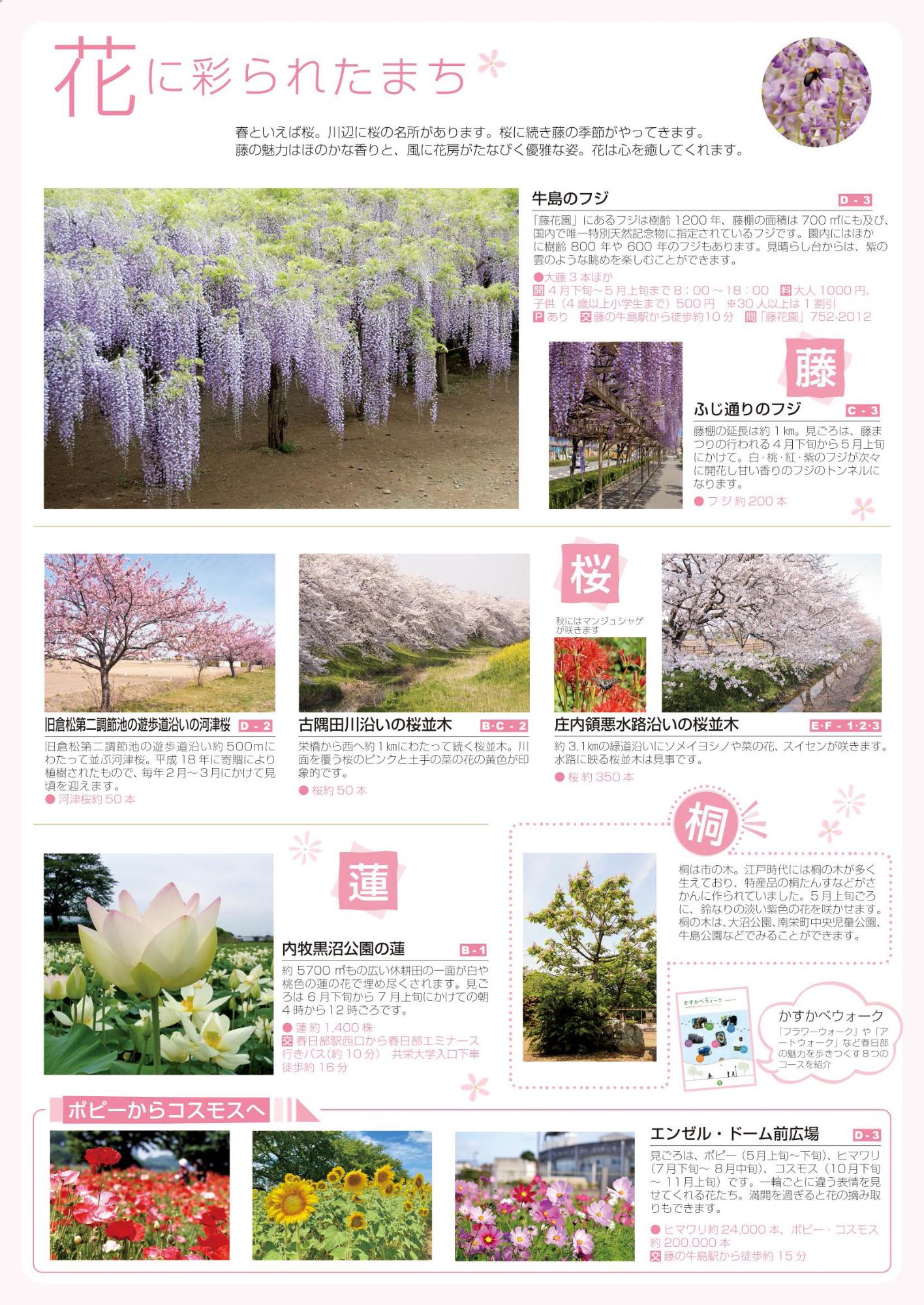 花に彩られたまち