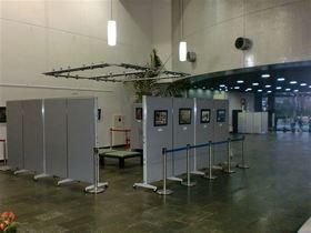 灰色のボードに展示物が貼られた春日部市庄和総合支所の市民ギャラリー内を撮影した写真