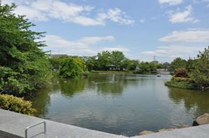 「大池憩いの家」側より撮影された、大池の眺望の写真