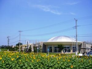 写真：エンゼル・ドームとひまわり畑