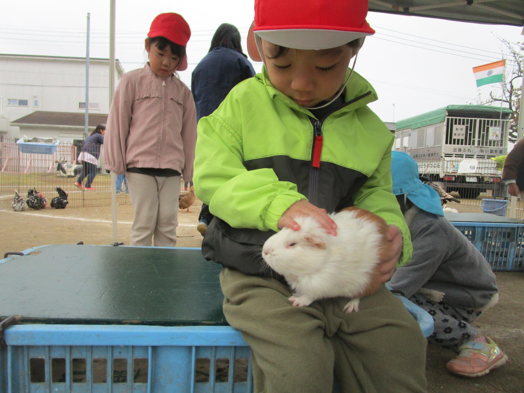 モルモットとふれあう様子