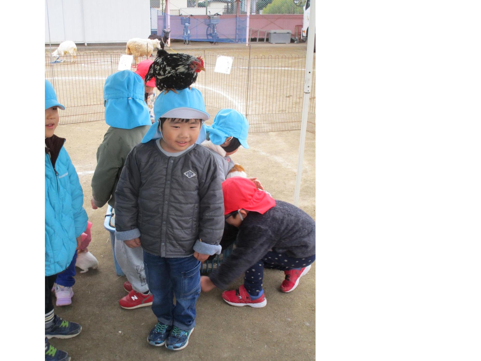 鳥とふれあう様子