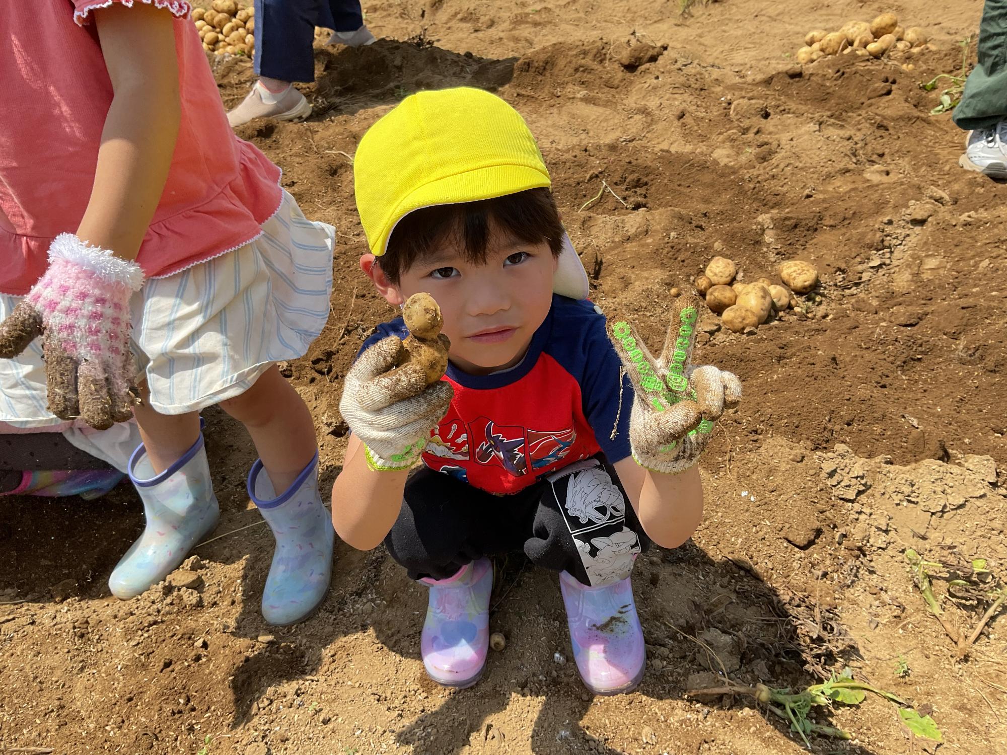 雪だるまのように二つくっ付いたジャガイモを持っている男の子