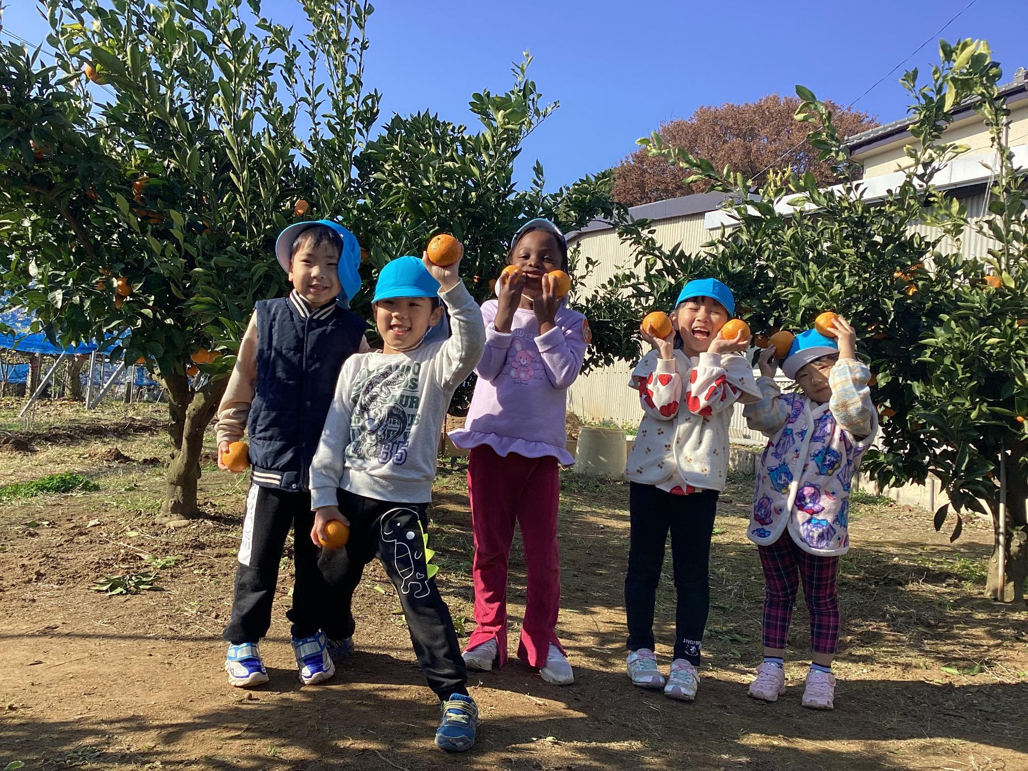 みかんの収穫を喜んでいる様子