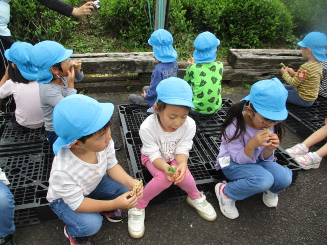 新芽の天ぷらの試食