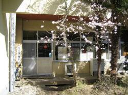 宮川放課後児童クラブの建物の窓付近の外観で、窓の手前には白い花が咲いている木が植わっている様子の写真