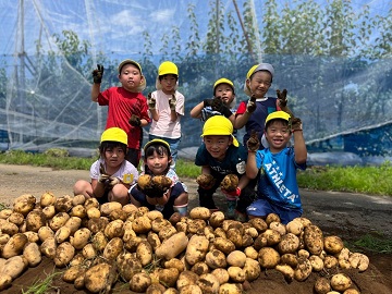 じゃがいもの収穫体験