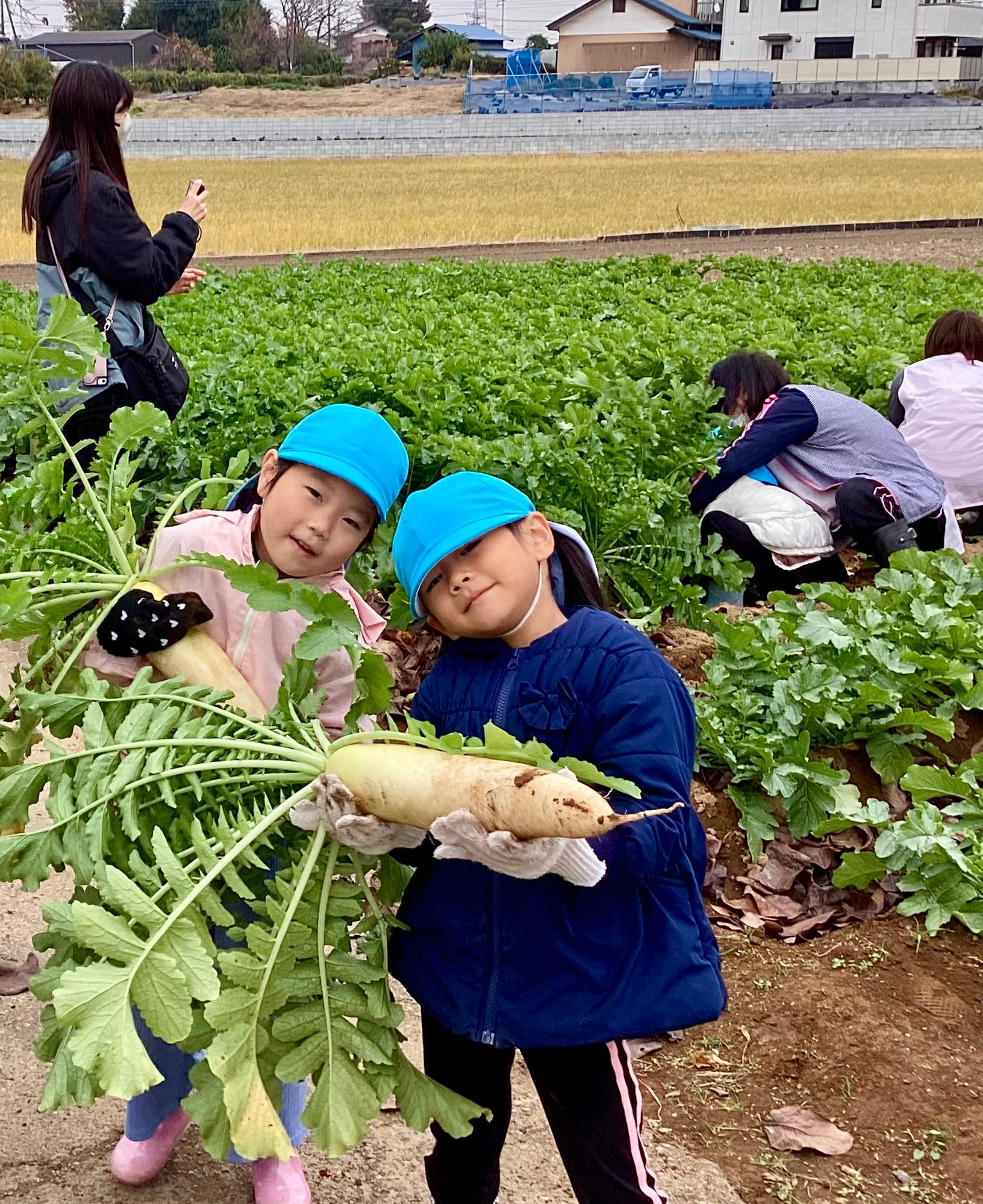 大きな大根が抜けて嬉しい二人の記念写真