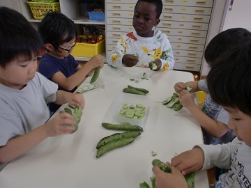 そら豆のさやむき体験