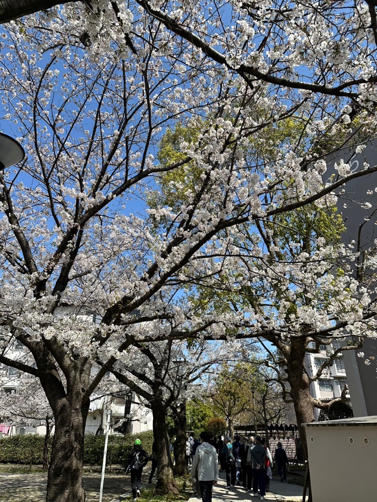 武里団地さくらウォーキングの様子