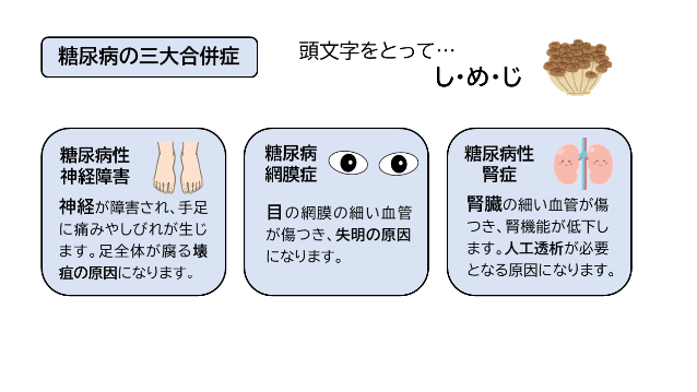 糖尿病の三大合併症神経、目、腎臓の頭文字をとって「しめじ」と呼ばれています。