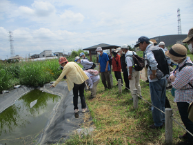 公園内の池にて生物を観察する様子