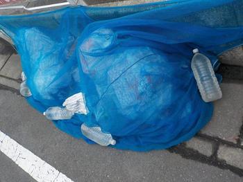 防鳥ネットの外側にペットボトルが並び、隙間ができないように重しがされている写真