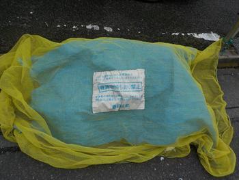 防鳥ネットの上に、ブルーシートがかけられている写真