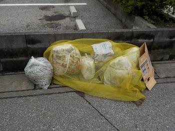 ゴミ袋が複数入った防鳥ネットの横に、ゴミ袋がはみ出して置かれている写真