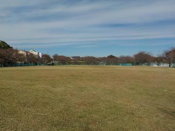 芝生の広場が広がり、奥に木々が立ち並んでいる多目的広場の風景