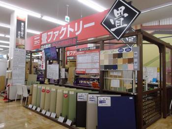 様々な種類の畳が陳列されているビバホーム内観の写真