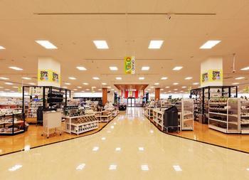 広々とした明るいフロアに様々な商品が陳列されている島忠ホームズ春日部店内観の写真