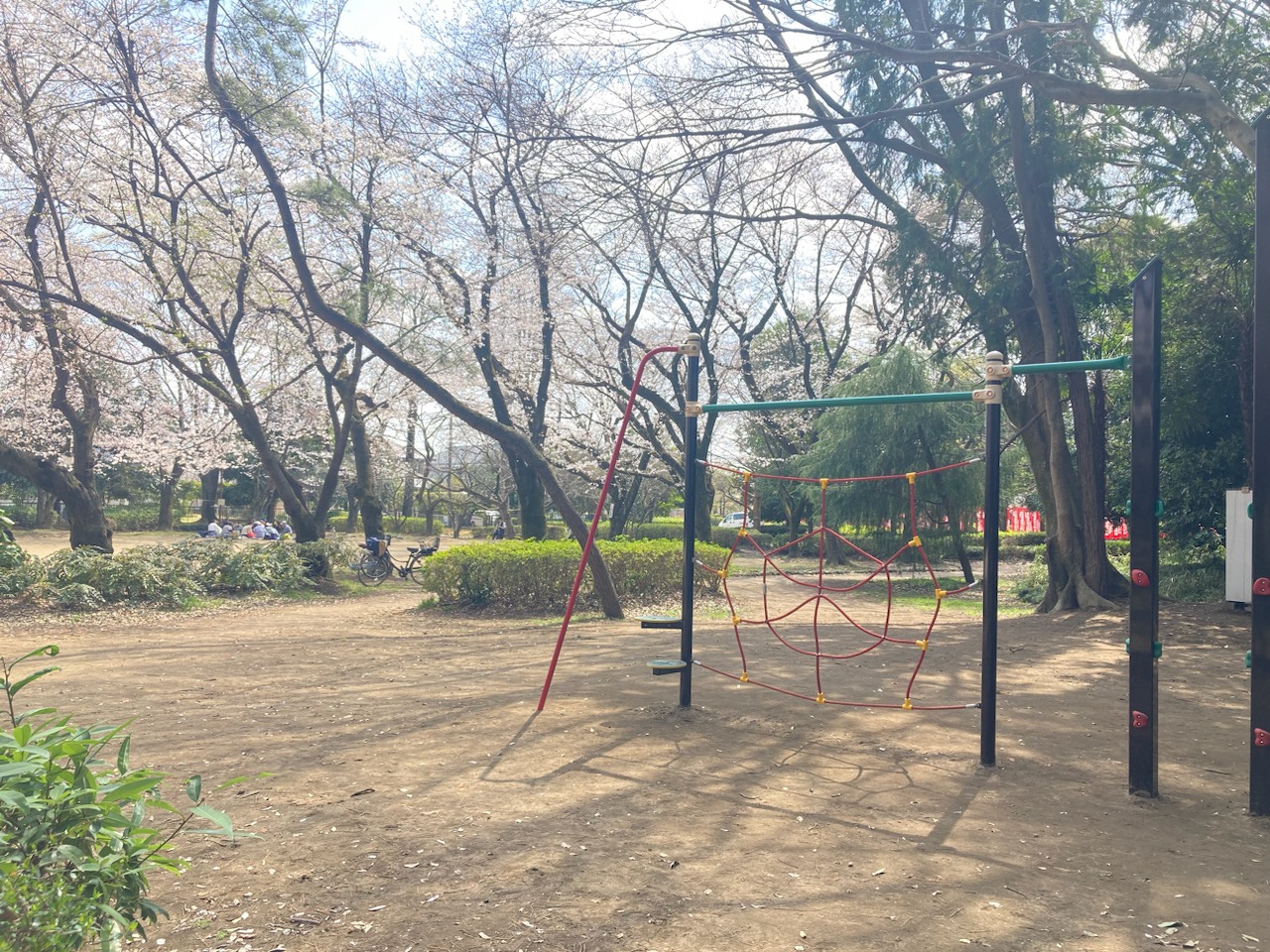 木々に囲まれているアスレチック広場の写真