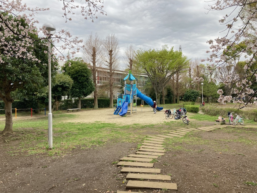 青色の遊具と木の板でできた道の写真