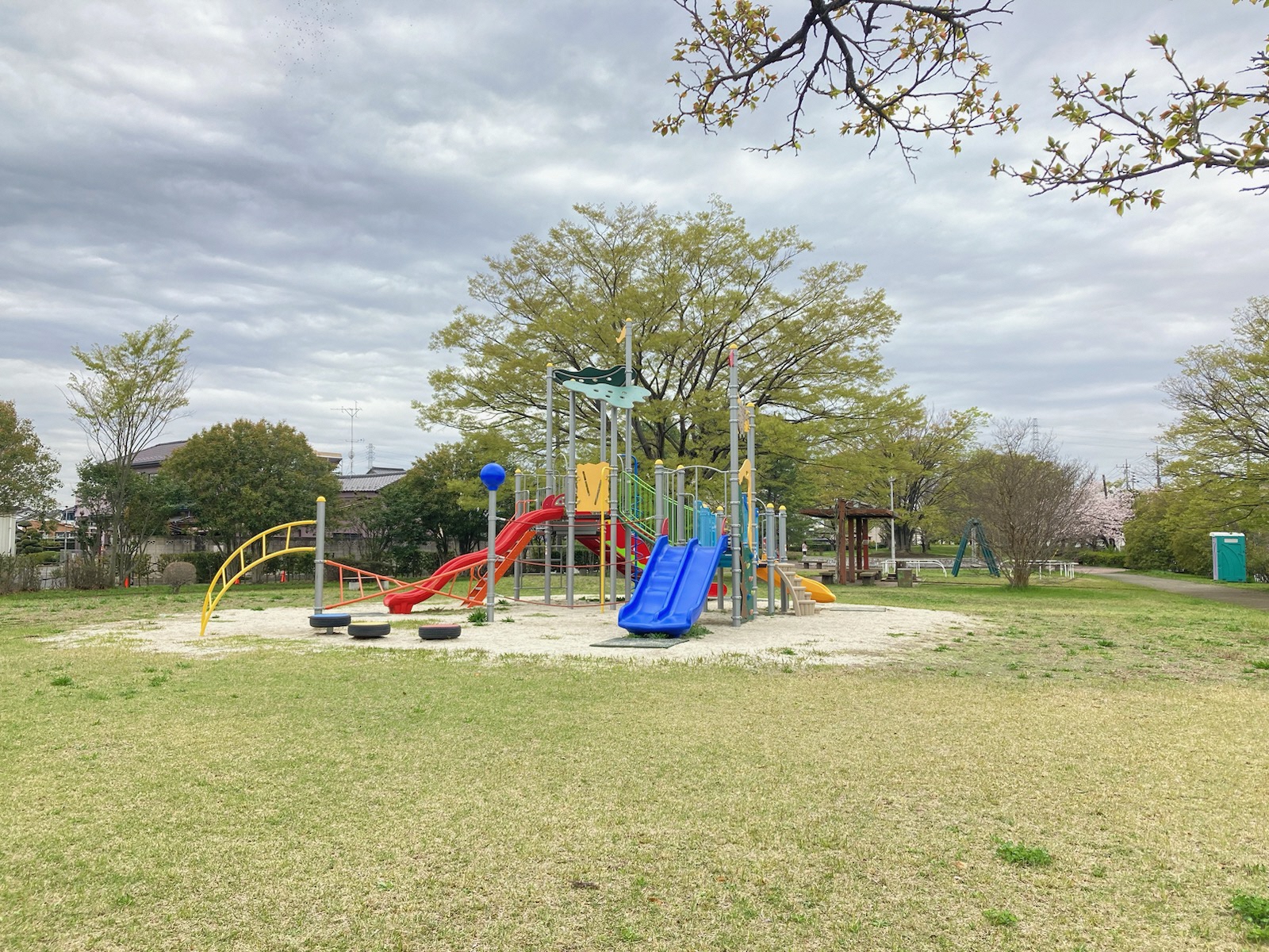 カラフルなアスレチックと大欅の写真