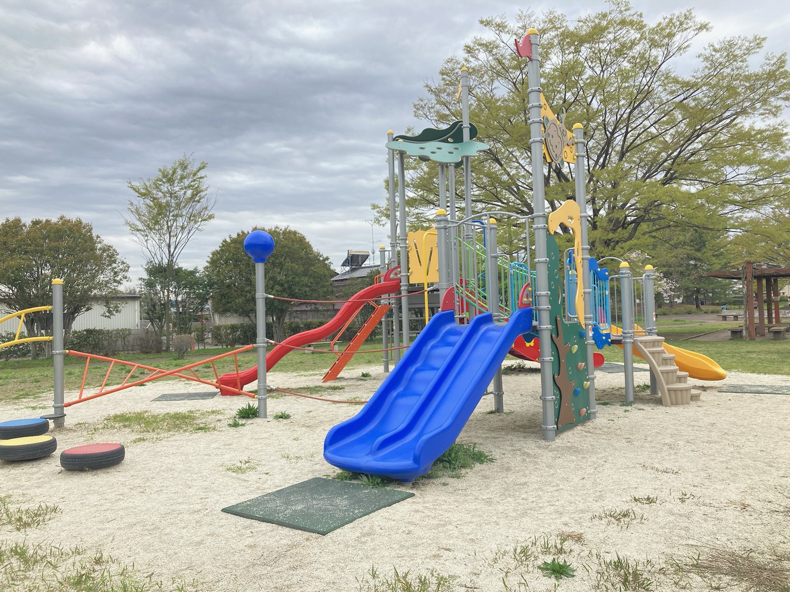 カラフルなアスレチックの写真