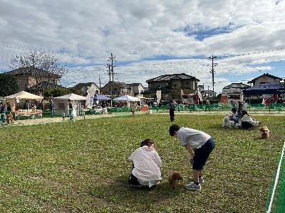 ドッグランの様子