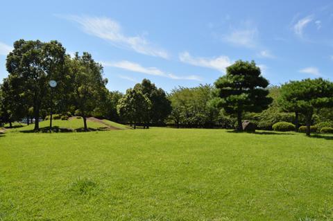 空いっぱいに芝生と森が広がる様子の写真