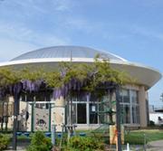 青空と藤棚に挟まれて建つエンゼルドームの写真