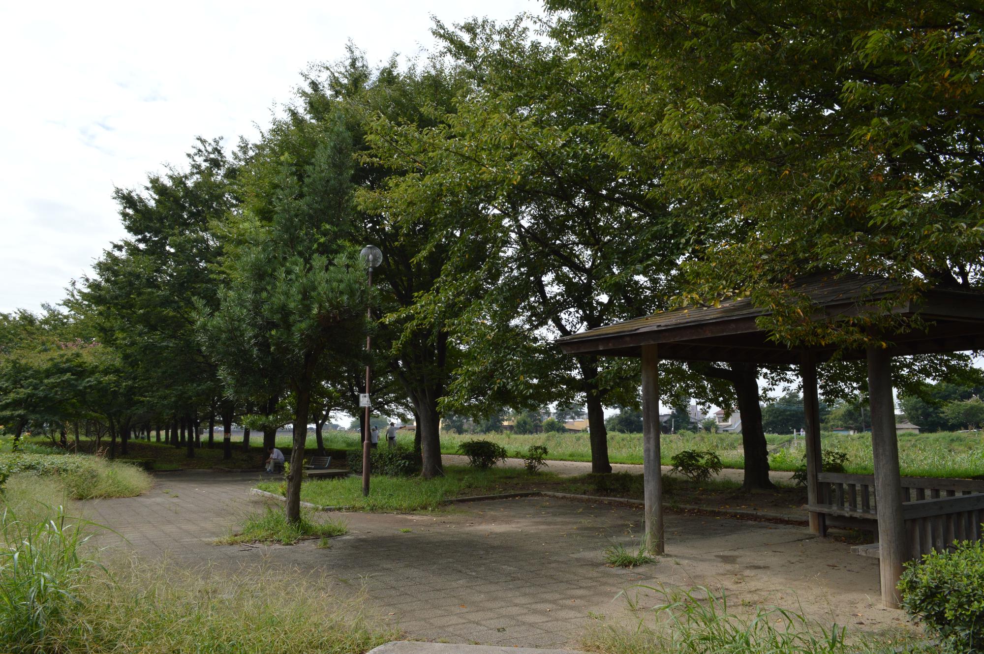 木々に囲まれた藤塚三本木公園の休憩スペースの写真