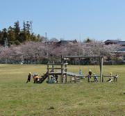 丸太を使った遊具が芝生広場の中央に据えられている写真