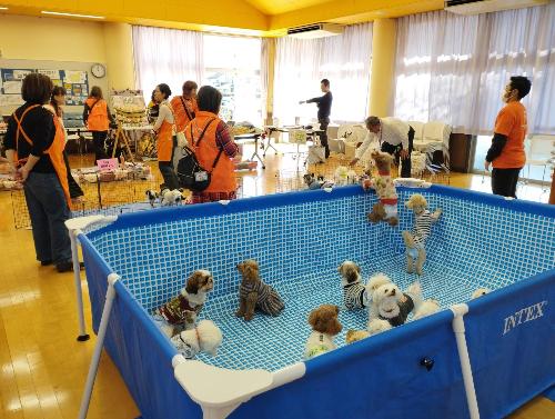 来場者を待つ保護犬たち