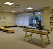 本棚やビリヤード台など遊具が用意されている部屋の写真