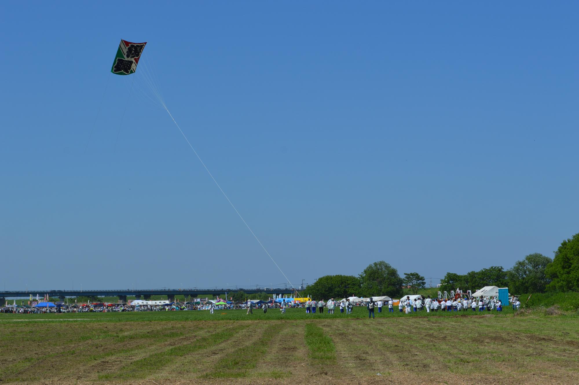 凧を引っ張る様子（上若組「復興」）