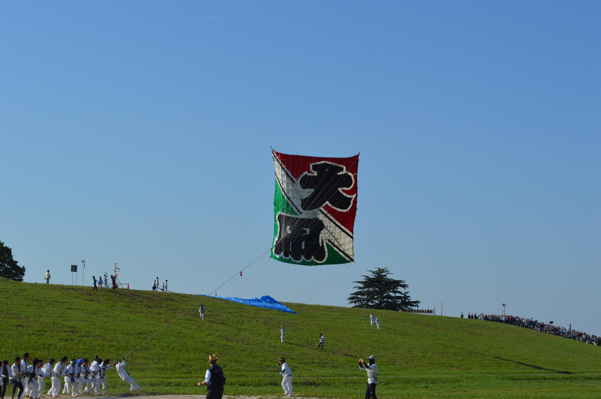 凧を引っ張る様子（上若組「大凧」）