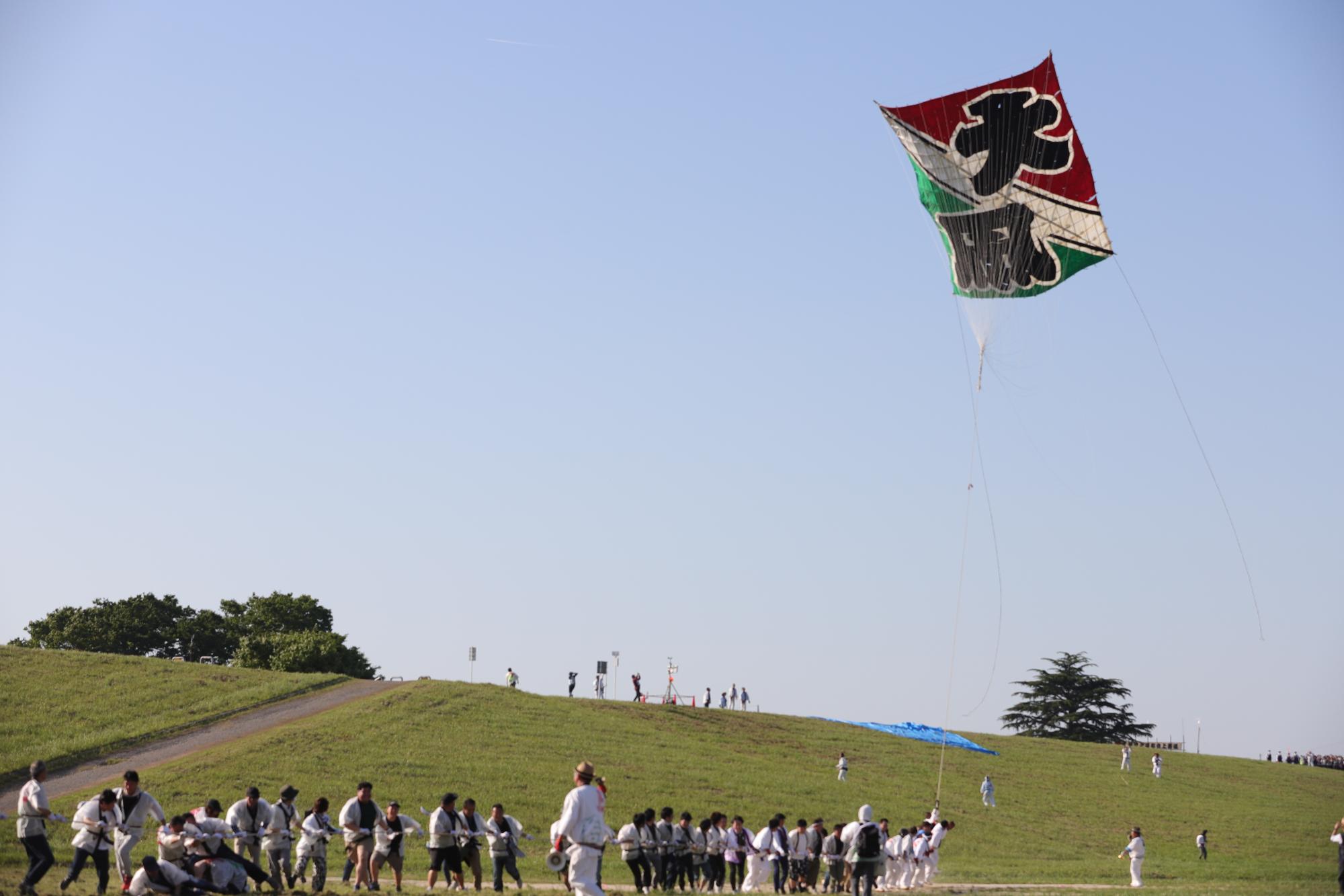 上若組「大凧」飛揚の様子